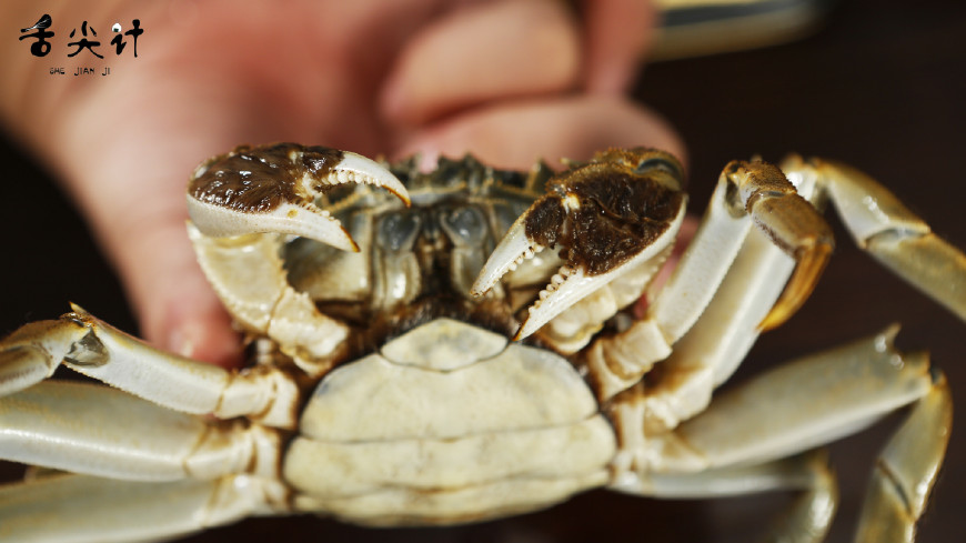 不慌,舌尖计告诉你最正宗的吃蟹秘籍|阳澄湖|大闸蟹|螃蟹_新浪新闻