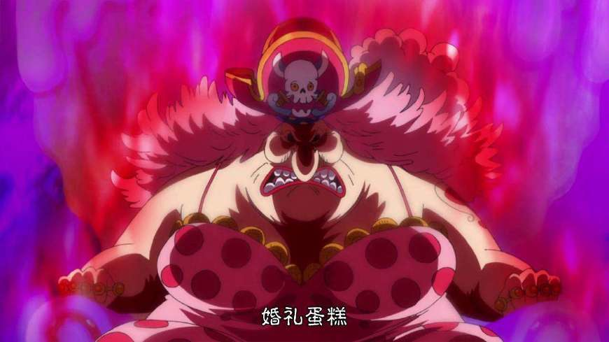 魂魂果实大揭秘!