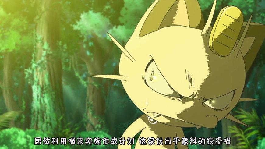 抓老鼠的猫很多但能抓皮卡丘的猫类神奇宝贝唯独这一只