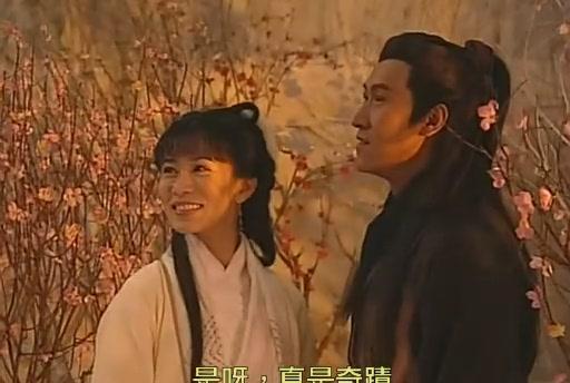 镜中花,水中月:《惊艳一枪》里佘诗曼当年饰演的小镜真是惊艳!