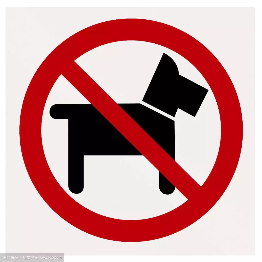 "7:00至22:00禁止遛狗严规"不仅执行难,而且有点违背 "狗性"