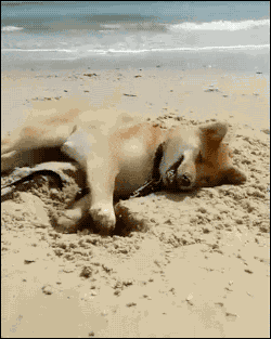 250_313竖版 竖屏gif 动态图 动图