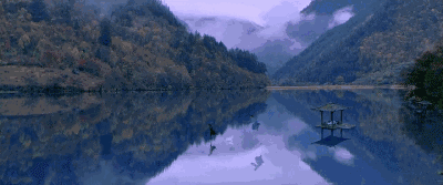 《影》继《英雄》之后老谋子的又一部上乘之作|十面埋伏|满城尽带黄金