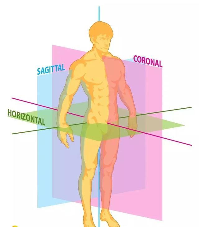 中线|宝宝|身体_新浪网