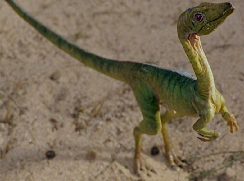 世界上最小的恐龙排名图片