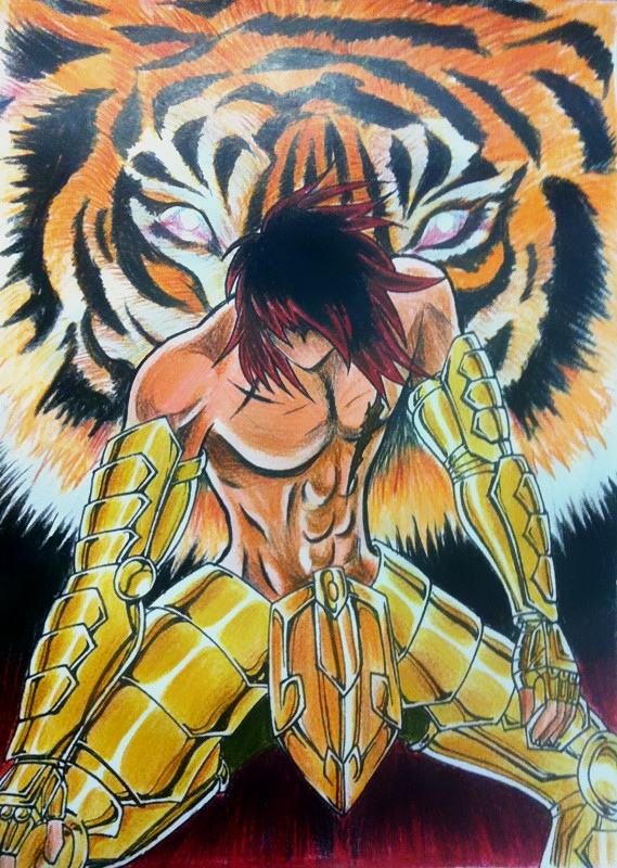 圣斗士:nd下的童虎是什么水平?就一个初级黄金吗?