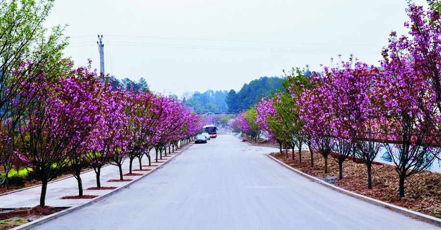 整个重庆有2个大观镇,一个属于南川,一个属于梁平