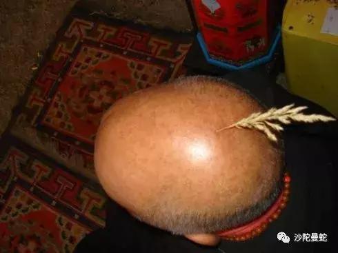 李连杰与密宗破瓦法修行也有速成班