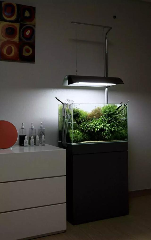 小小草缸底柜里藏着的大秘密:底柜,才不仅仅是放缸子的柜子呢?