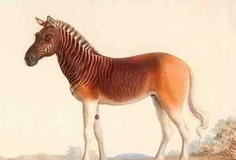 《山海经》中的五种异兽,第一种敢吞日月,第五被英国人弄到绝迹|山海