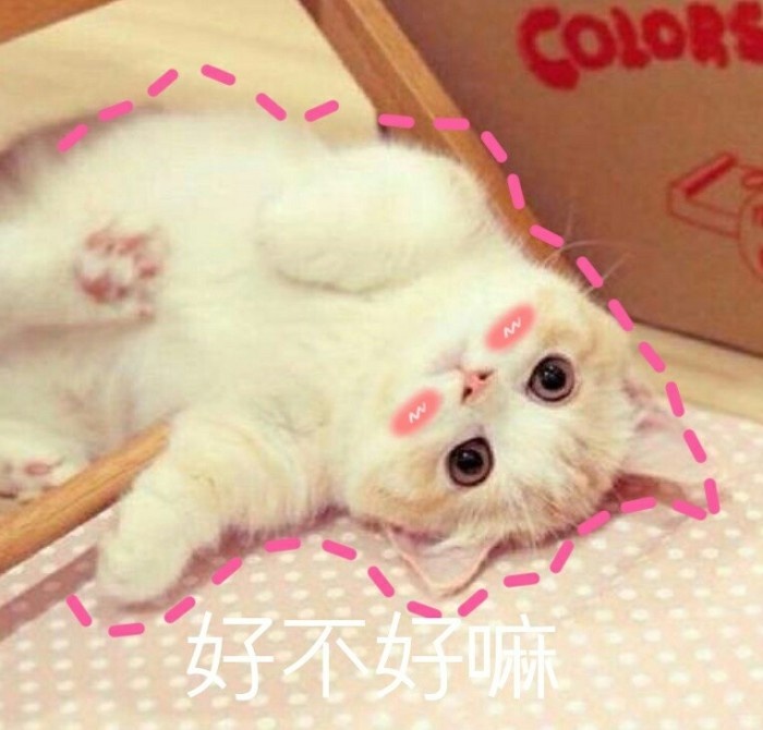 童言无忌是叫你用手机不是手