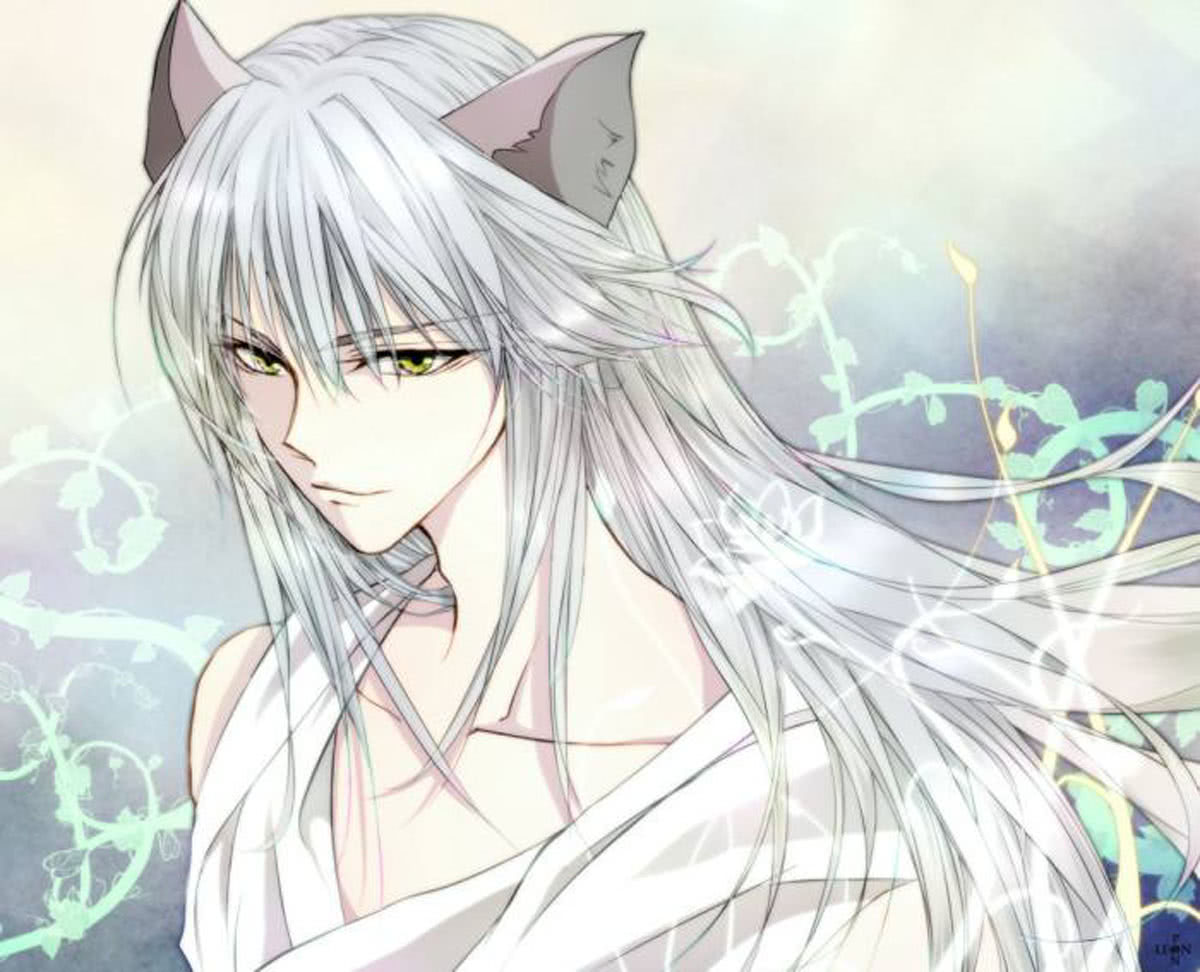 蛊惑众生!盘点动漫中的那些人气妖狐!