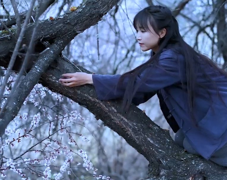 李子柒在桃树上摘这东西,拿回家炖汤喝,吃货:市面1斤400元