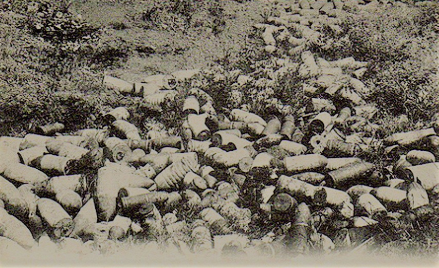 沃罗涅日战役图片