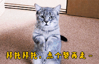 看插画猜剧名,一眼看出《神雕侠侣》,全部猜对算我输|剧名|插画|神雕侠侣_新浪新闻