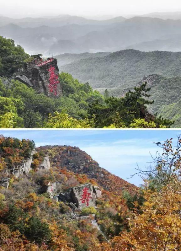 龙门伏虎神秘地 白云扶绕迎客松
