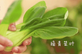 350_229gif 动态图 动图