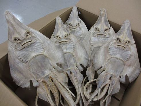 日本瑞龙寺龙标本是真吗