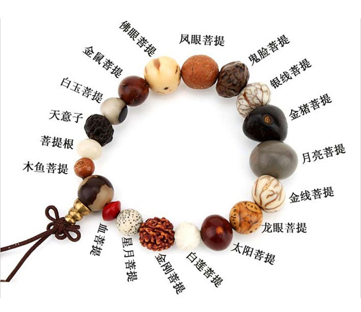 菩提