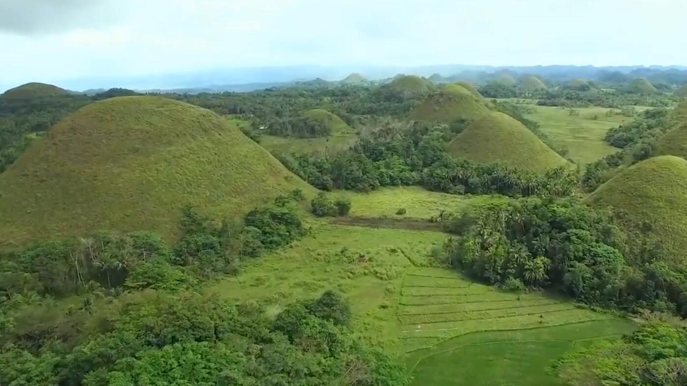 一排排小山丘立在那里,为何没有一棵树