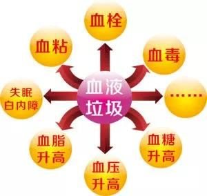 什么是血液毒素?