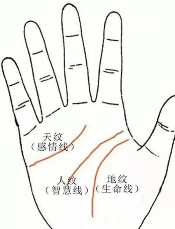 重生后我成了权臣的掌中娇