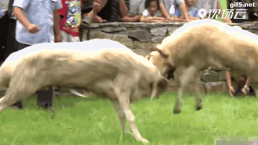 889_500gif 动态图 动图