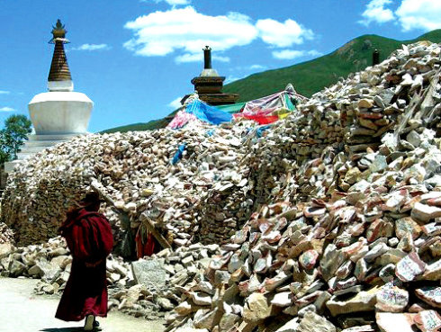 阿卡力大叔的藏獒刚好那几天下崽子,蔡力就全程陪护着