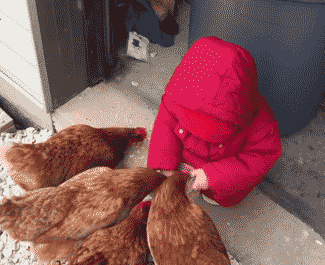 325_265gif 动态图 动图