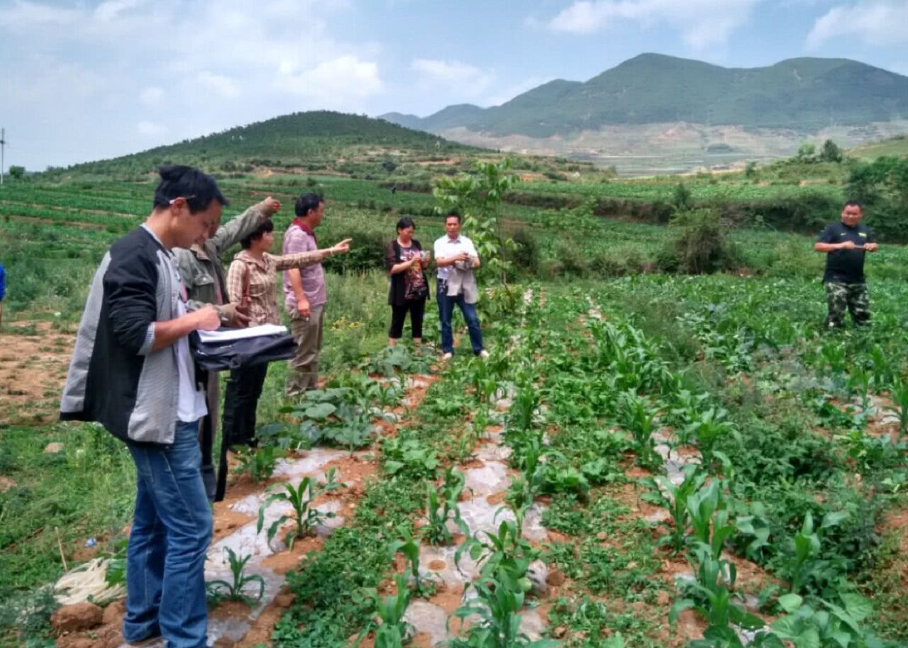 租100亩地种庄稼,每亩租金500元,农民一年能挣多少钱?|庄稼|农民|租金_新浪新闻