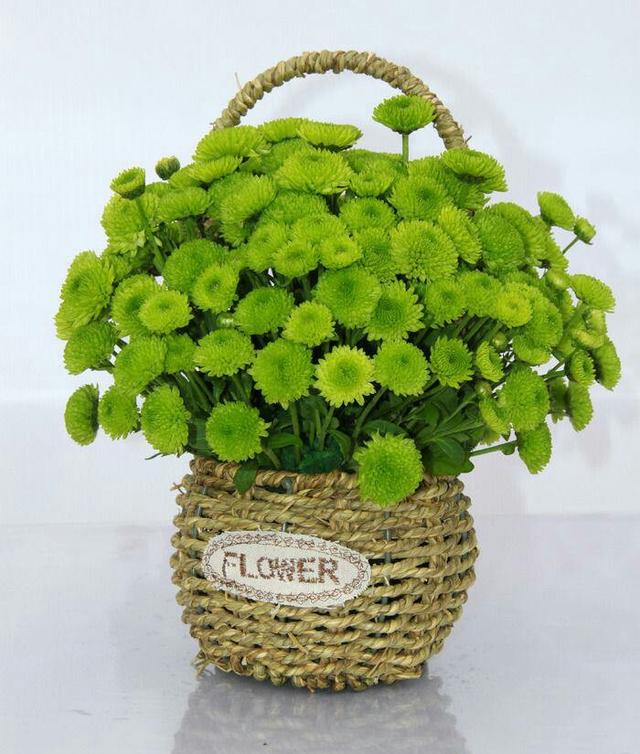 心理测试你想把哪束花放在家里测试你是旺夫命还是败夫命