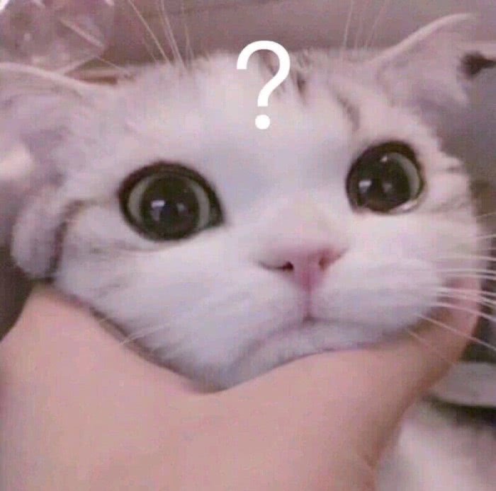 甜萌·猫头表情包,趁着你还没睡,抓紧走一波甜味的包儿可好?