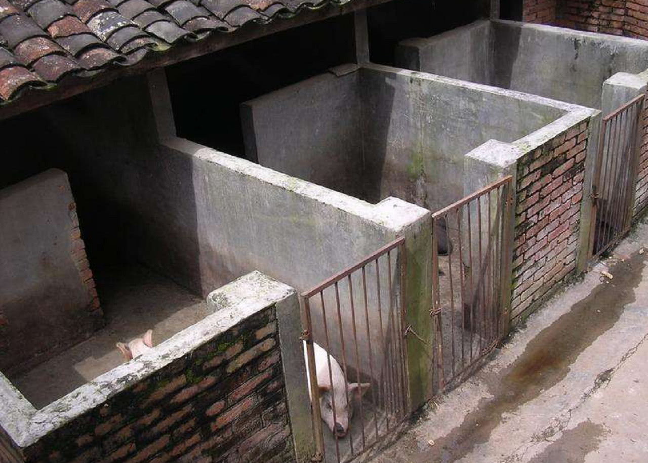 农村厕所连猪圈设计图图片