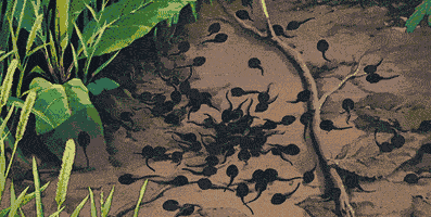 397_200gif 动态图 动图