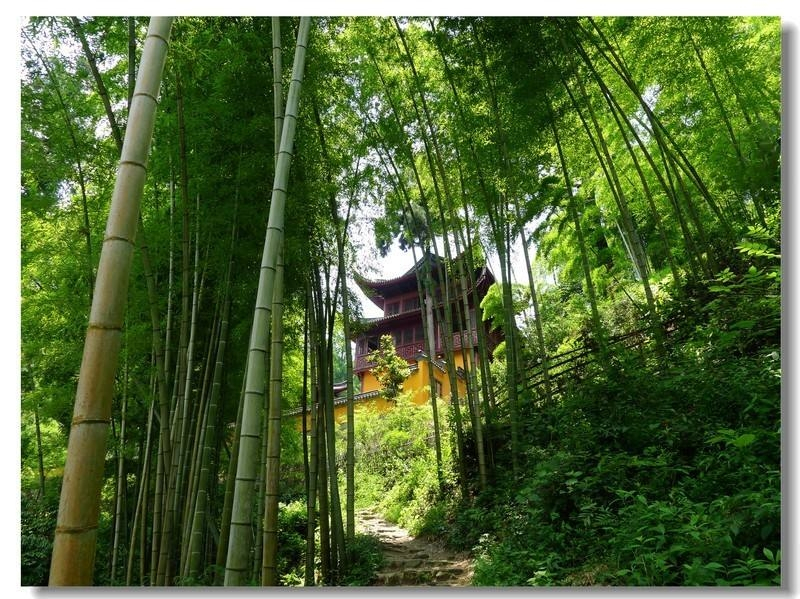 苍苍竹林寺,杳杳钟声晚.