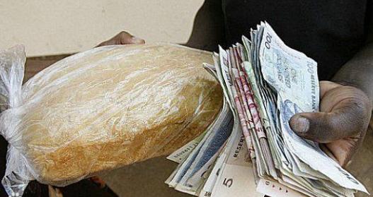 金钱豹人均_金钱豹卡通图片(2)