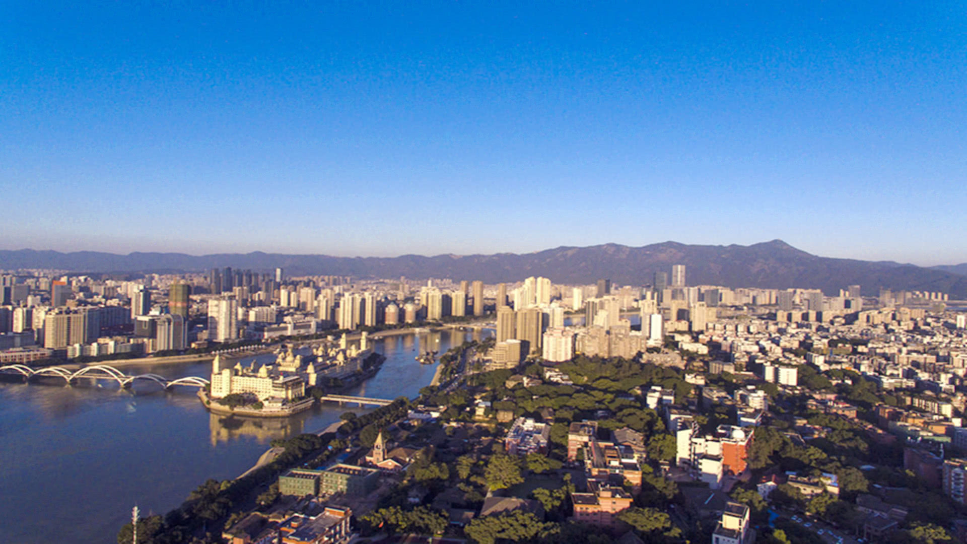 二、股票回购115次,股价持续下跌