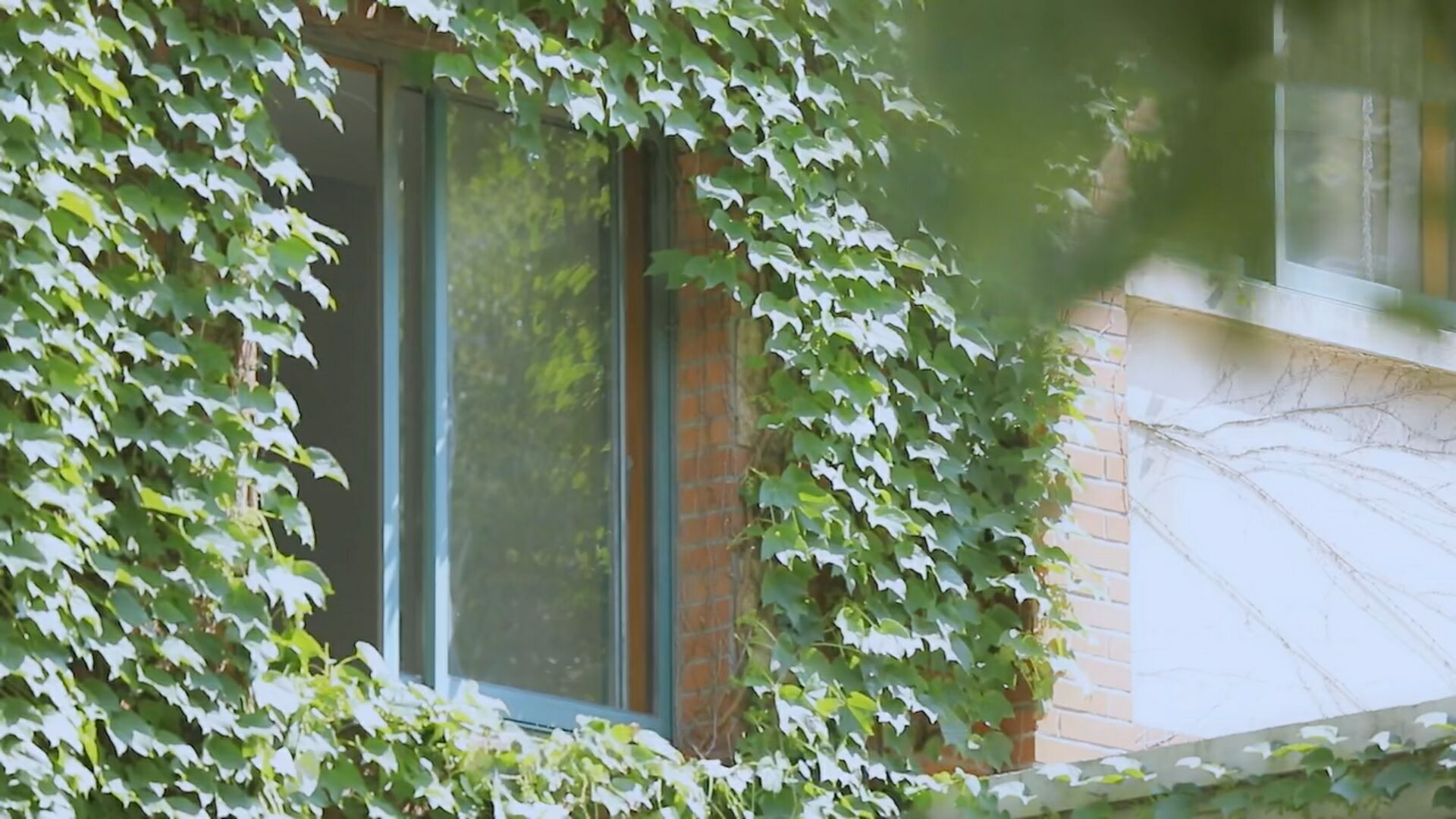 《如懿传》结局才明白,当年选秀青樱为何来迟,真相令人心疼如懿