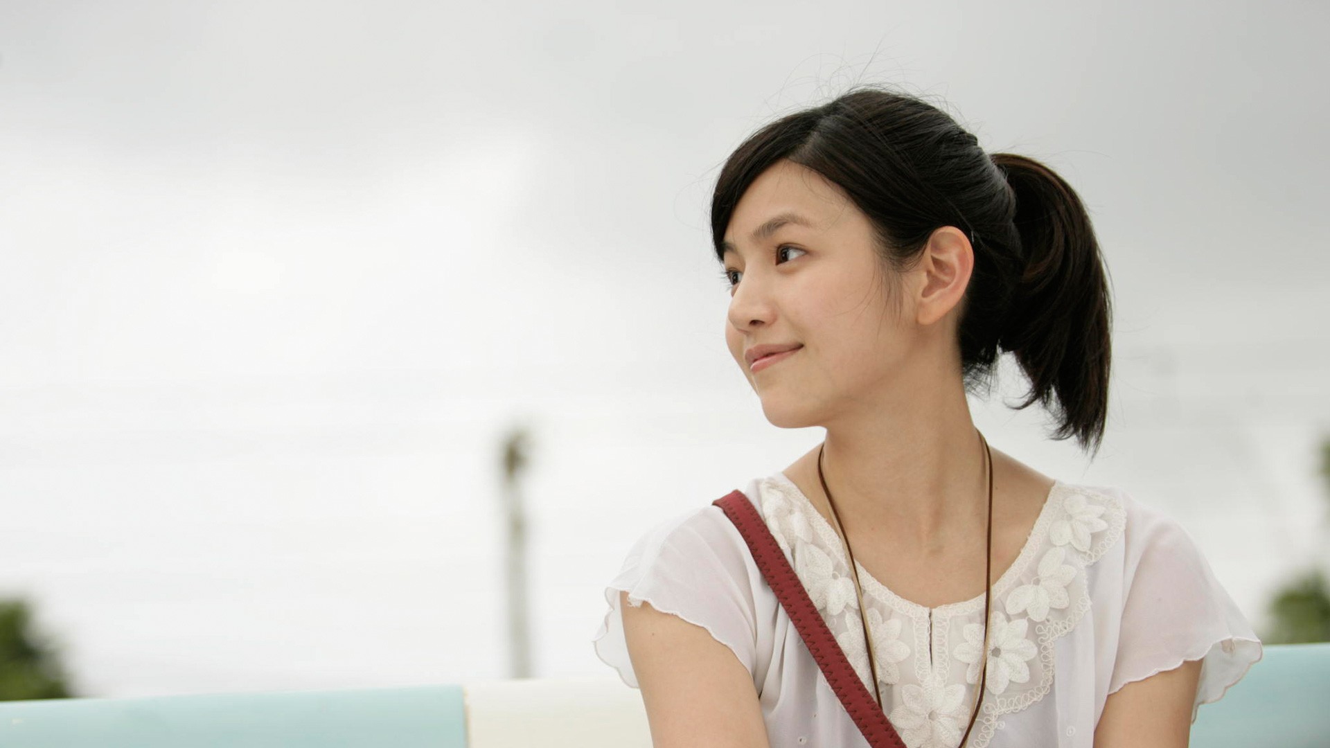 娱乐圈中的真学霸,你知道几个?