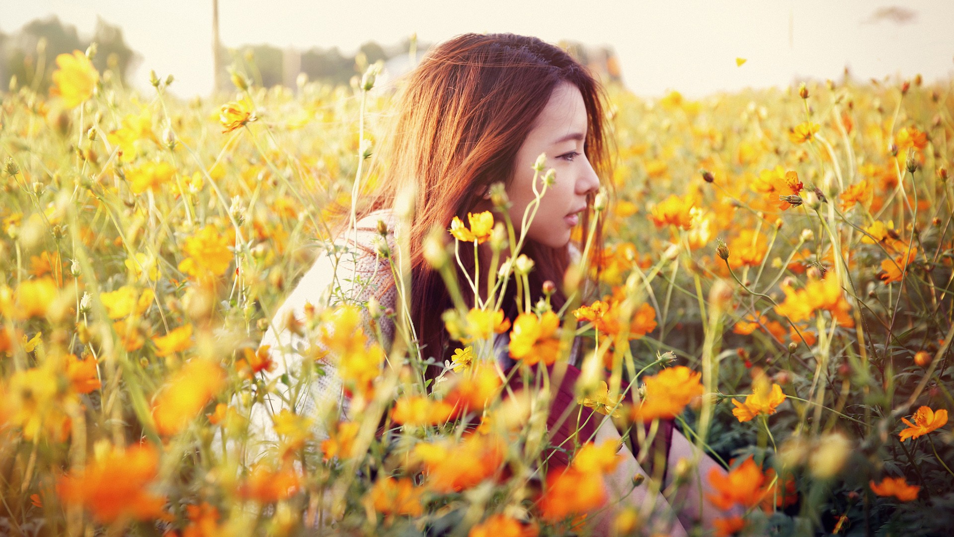 敬往事一杯酒再爱也不回头