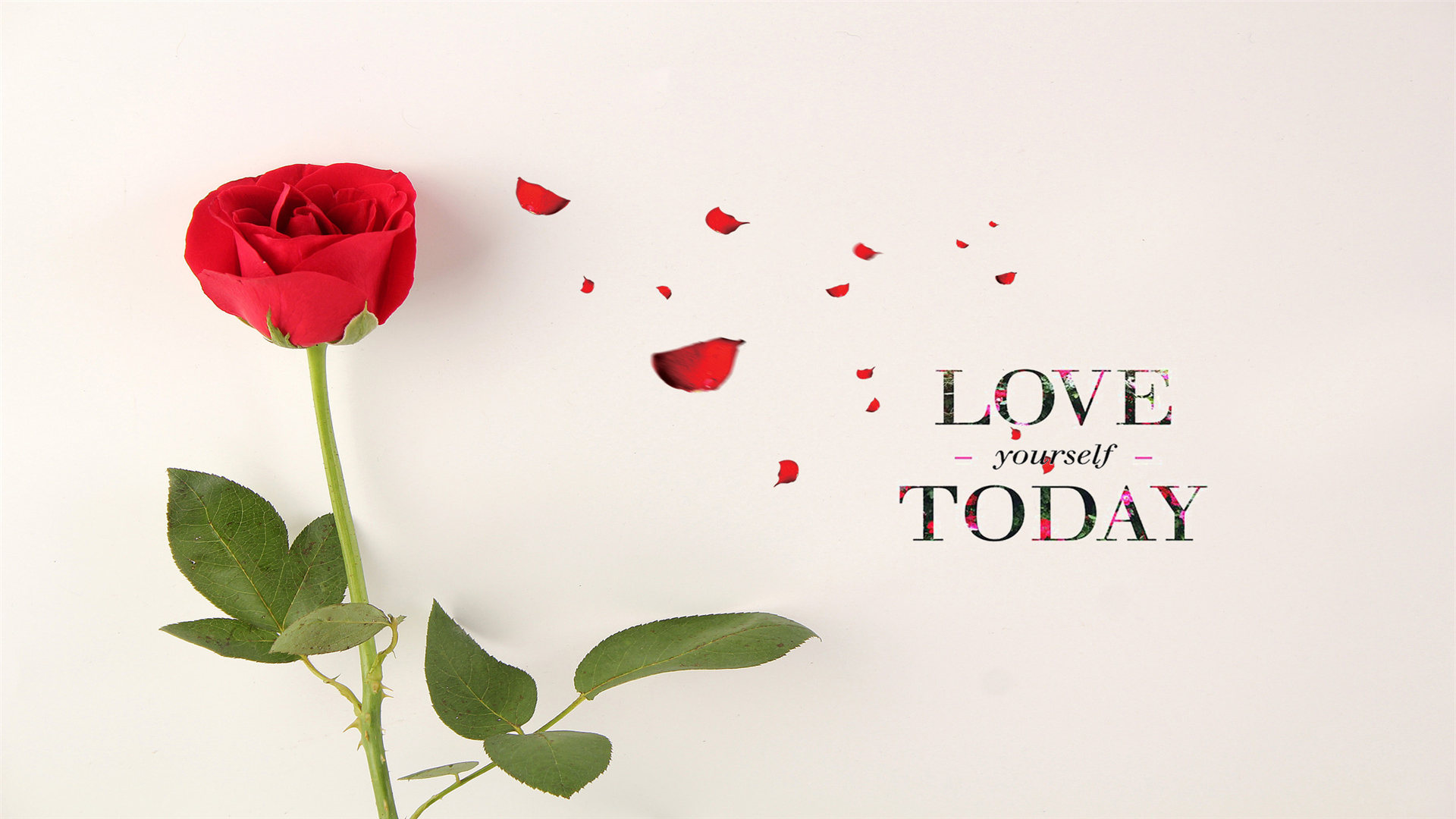 男女相处,男人不能给你这些东西,说明他没想过好好爱你