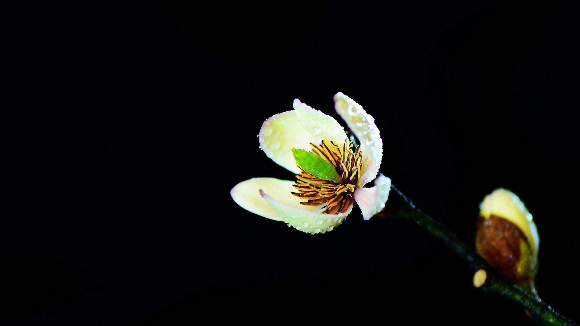 过了年初六,老天爷都压不住,翻身暴富的4大生肖