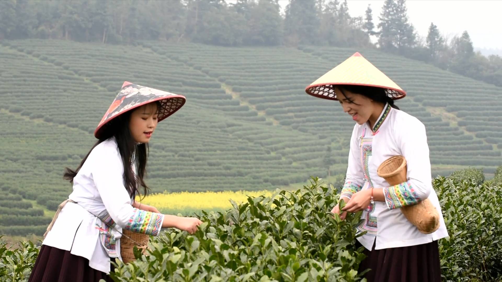 航拍贵州高速公路这才叫中国速度外国人看傻