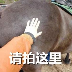 夸个人也会被拉黑?朋友,你的低情商马屁拍到雷区上了!