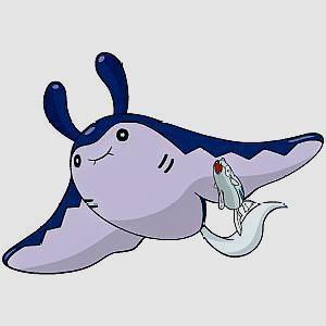 神奇宝贝:明明是吸附在巨翅飞鱼的铁炮鱼,进化之后却成了大章鱼