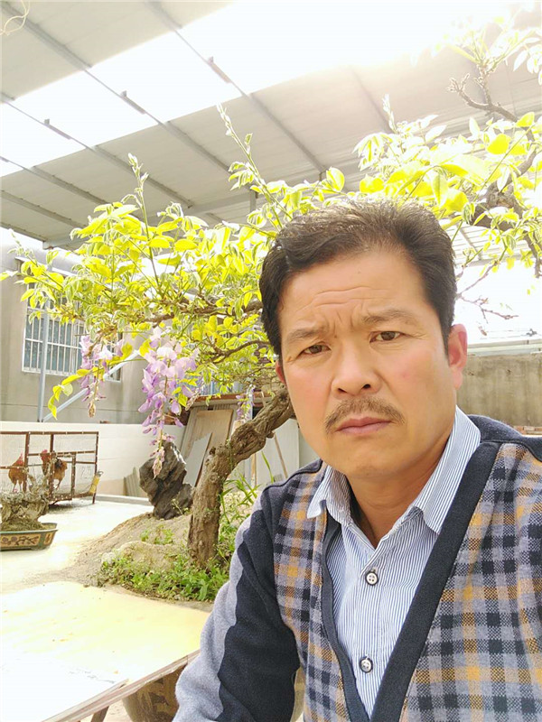 实力派画家王俊超画鸡,千姿百态,栩栩如生