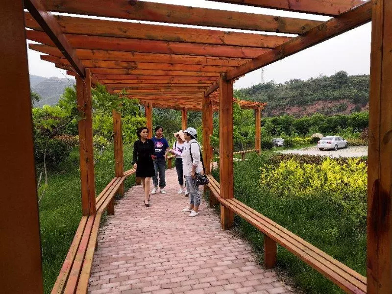 要火啦!电视剧《初婚》6月5日央视开播,大多镜