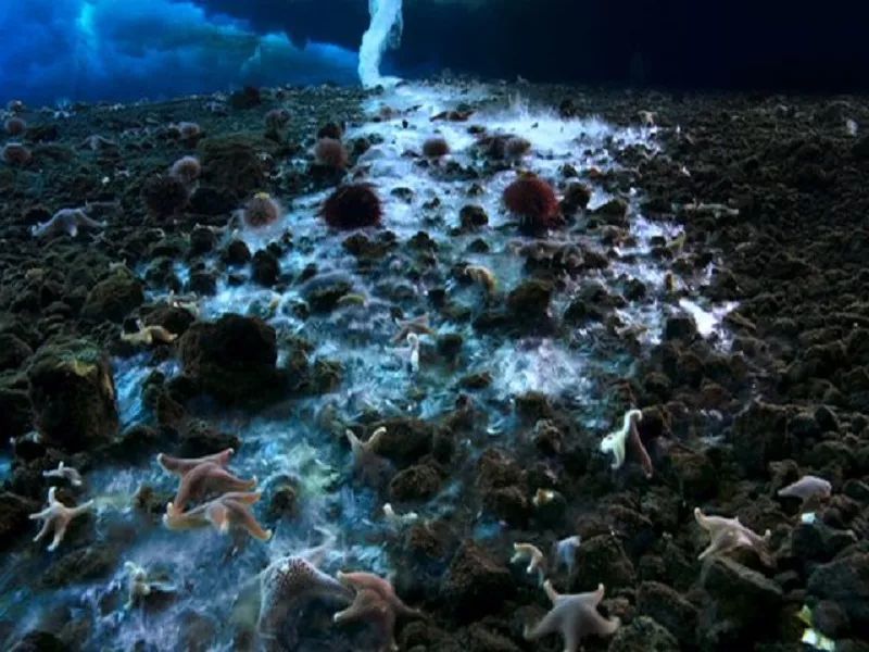 "曾经有死亡冰柱经过的地方,会形成小小的盐卤池,我们管这种海底盐卤