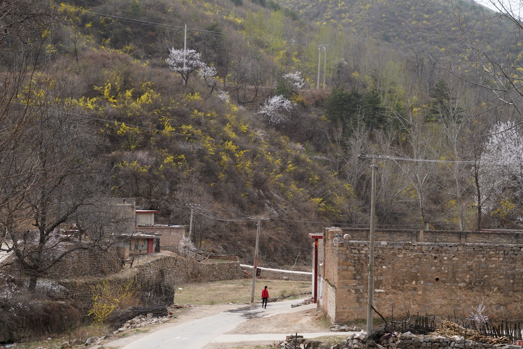 3个小菜4碗面条不收钱山西农村大妈1个小要求很暖心