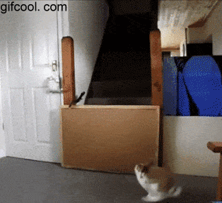 gif搞笑找你妹啊